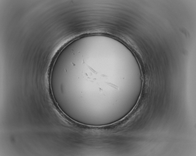 X0000114080789200910191541