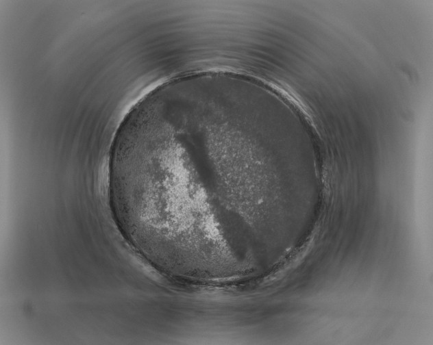 X0000114080790200910191541