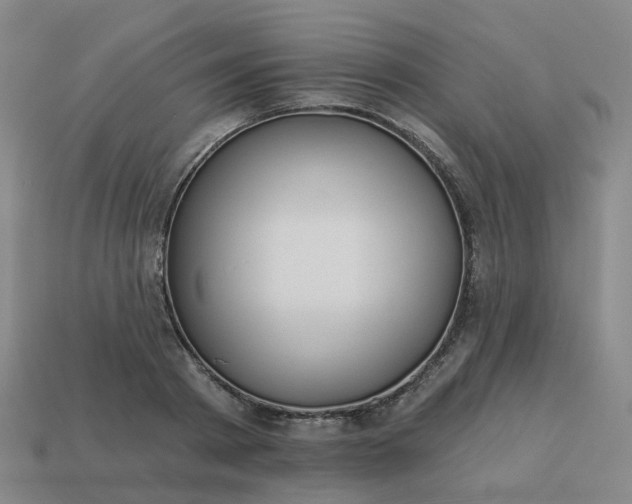 X0000114080793200910191541