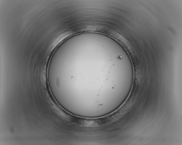 X0000114080794200910191541