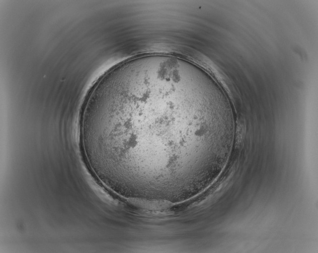 X0000114080795200910191541