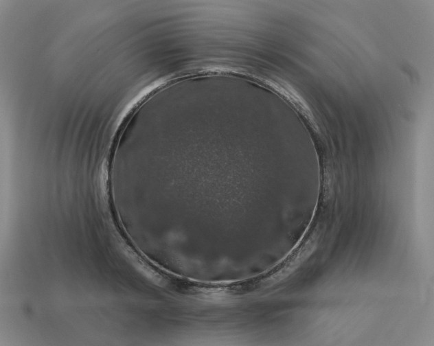 X0000114080798200910191541