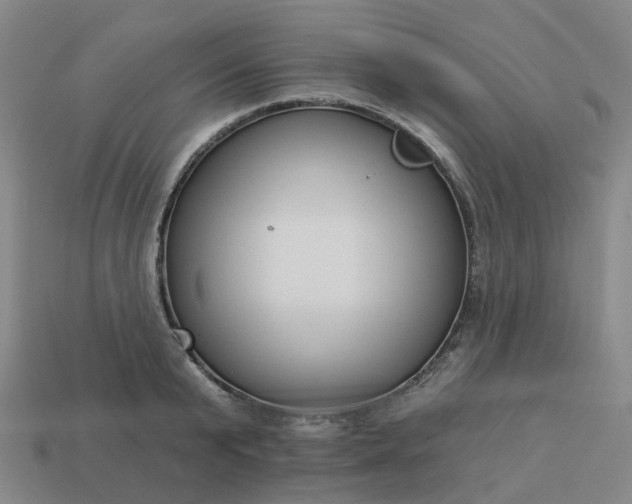 X0000114080799200910191541