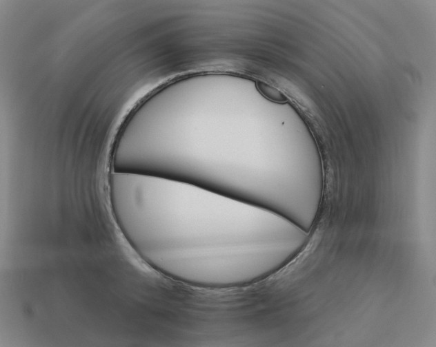 X0000114080800200910191541