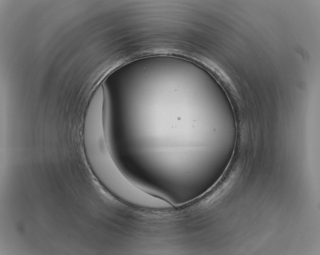 X0000114080801200910191541