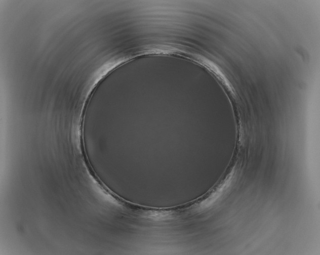 X0000114080802200910191541