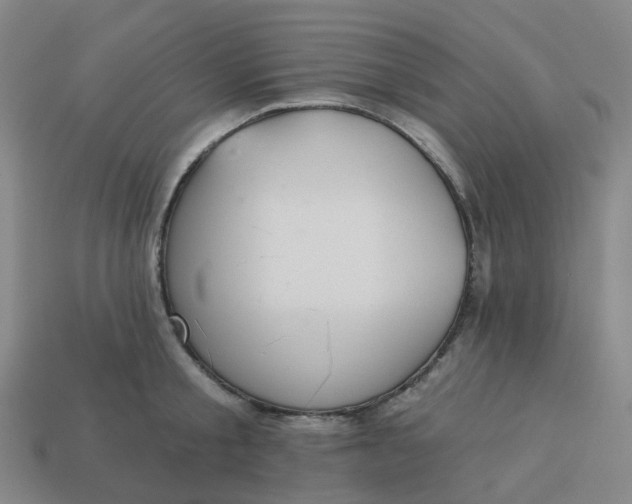 X0000114080805200910191541