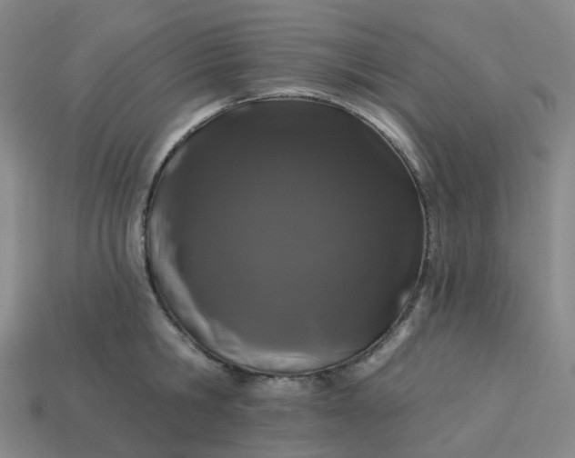 X0000114080806200910191541