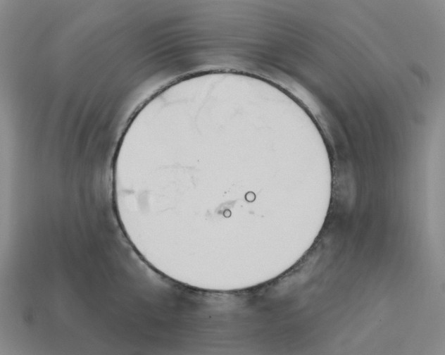 X0000114080807200910191541