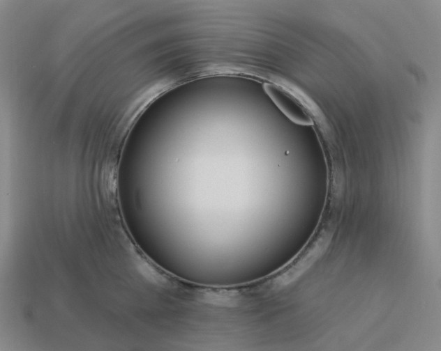 X0000114080809200910191541