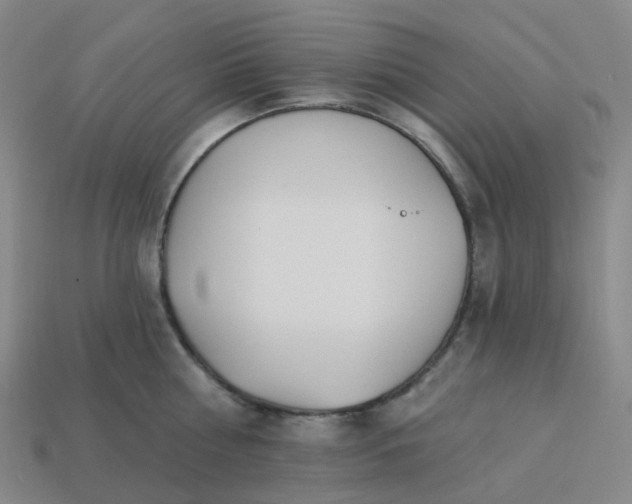 X0000114080810200910191541