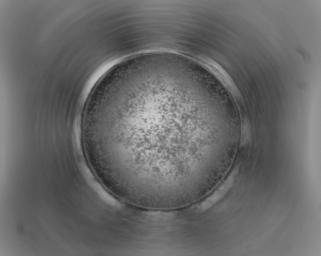 X0000114080812200910191541