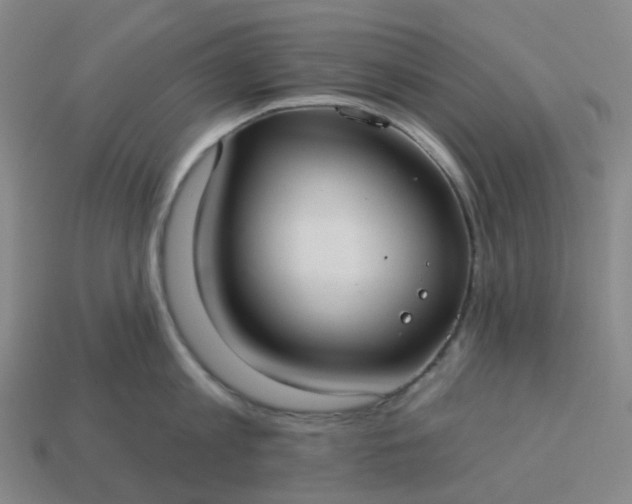 X0000114080813200910191541