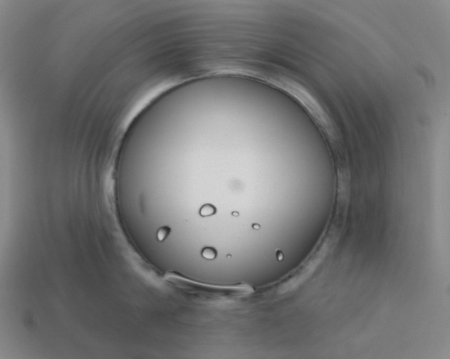 X0000114080814200910191541