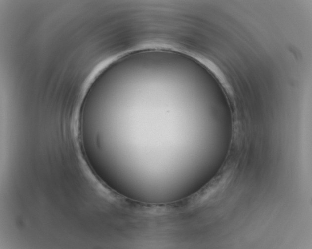 X0000114080815200910191541