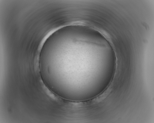 X0000114080816200910191541