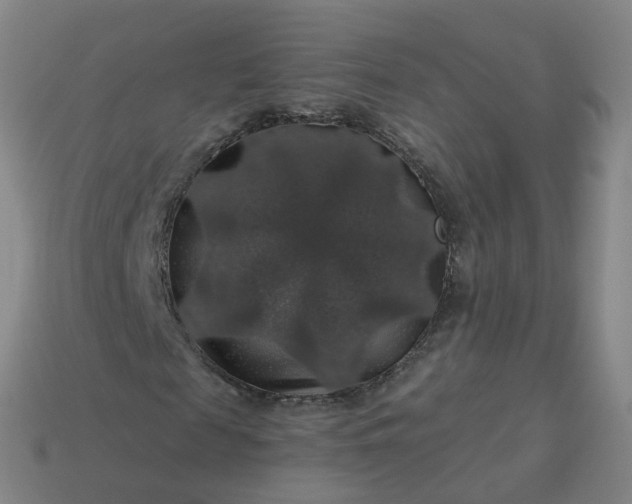 X0000114080817200910191540