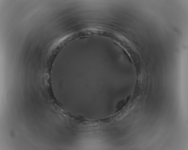 X0000114080822200910191540