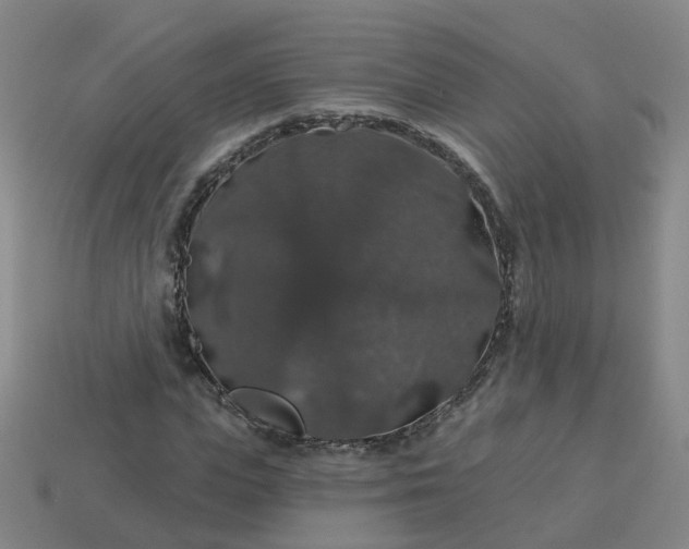 X0000114080823200910191540