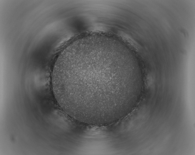 X0000114080824200910191540