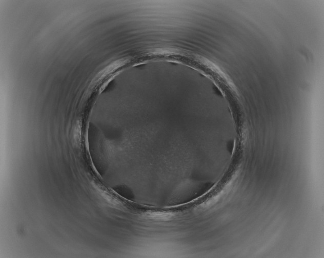 X0000114080825200910191540