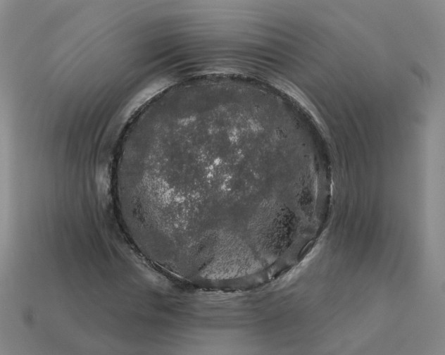 X0000114080826200910191540