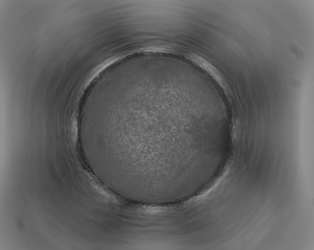 X0000114080829200910191540