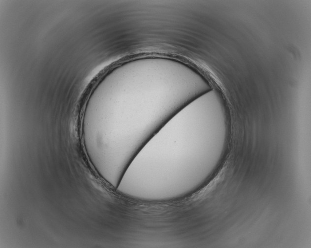 X0000114080830200910191540