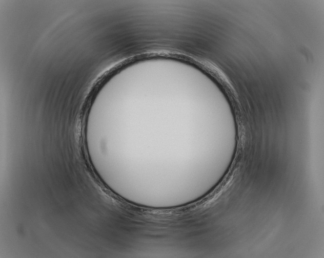 X0000114080831200910191541