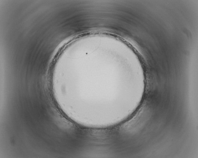 X0000114080832200910191541