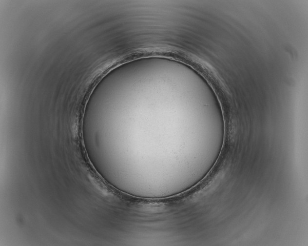 X0000114080833200910191541