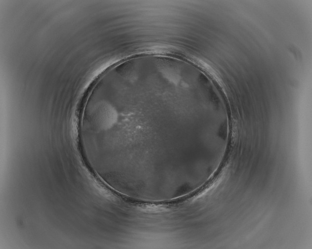 X0000114080835200910191541