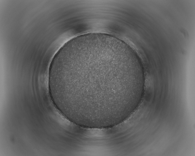 X0000114080836200910191541