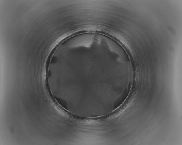 X0000114080837200910191541