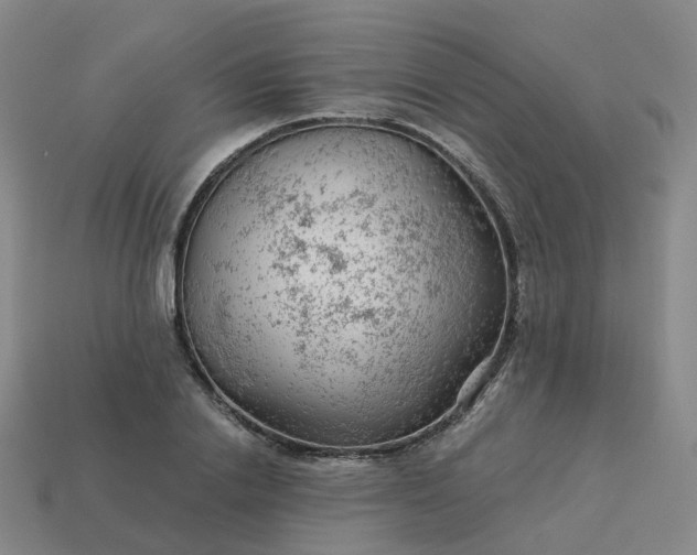 X0000114080838200910191541