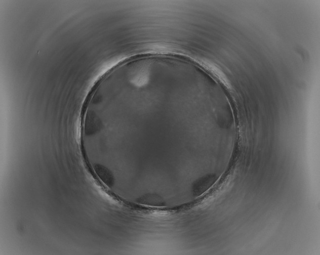 X0000114080839200910191541