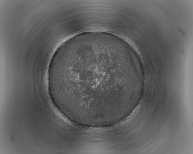 X0000114080840200910191541