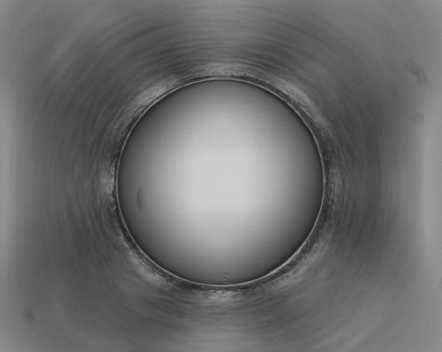 X0000114080841200910191541