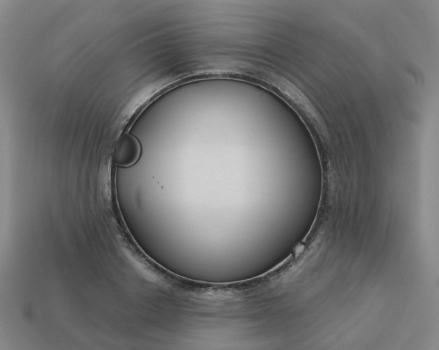 X0000114080842200910191541