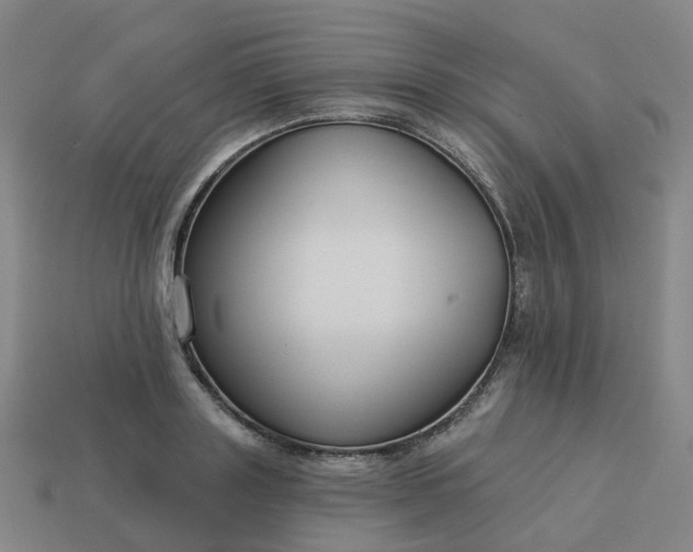 X0000114080843200910191541