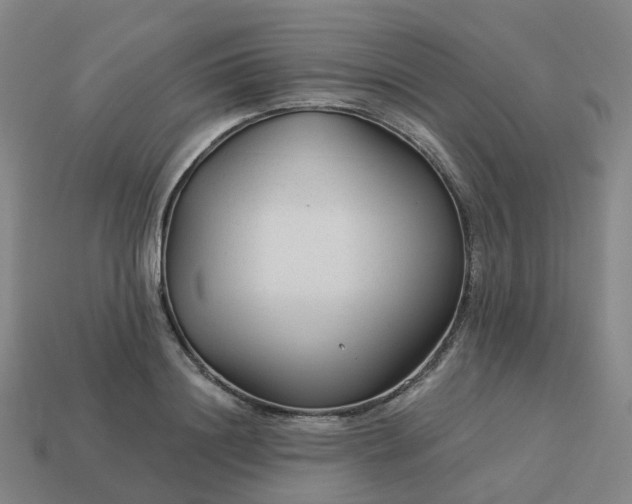 X0000114080844200910191541