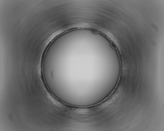 X0000114080845200910191541