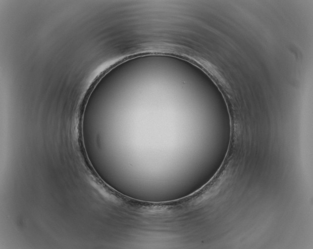 X0000114080846200910191541