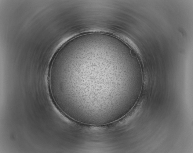 X0000114080847200910191541