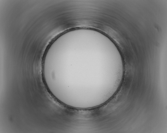 X0000114080848200910191541