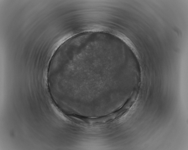 X0000114080850200910191541