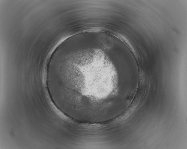 X0000114080851200910191541