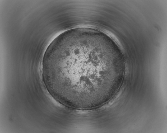 X0000114080852200910191541