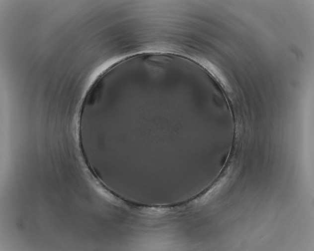 X0000114080854200910191541