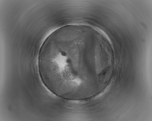 X0000114080855200910191541